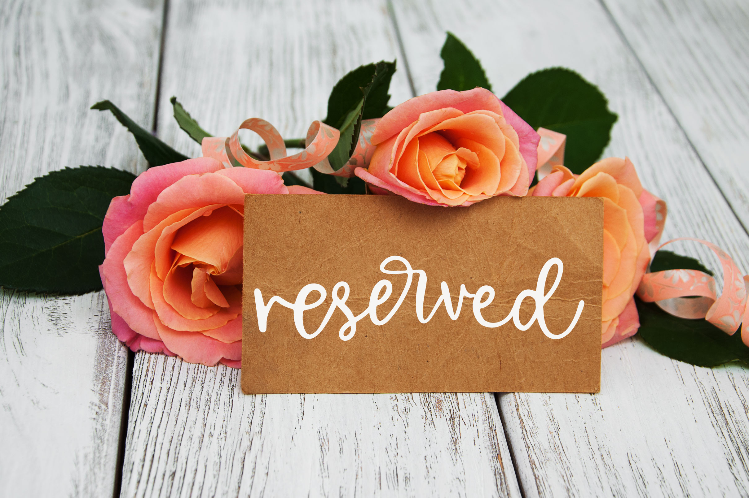 Alley Font Duo插图4