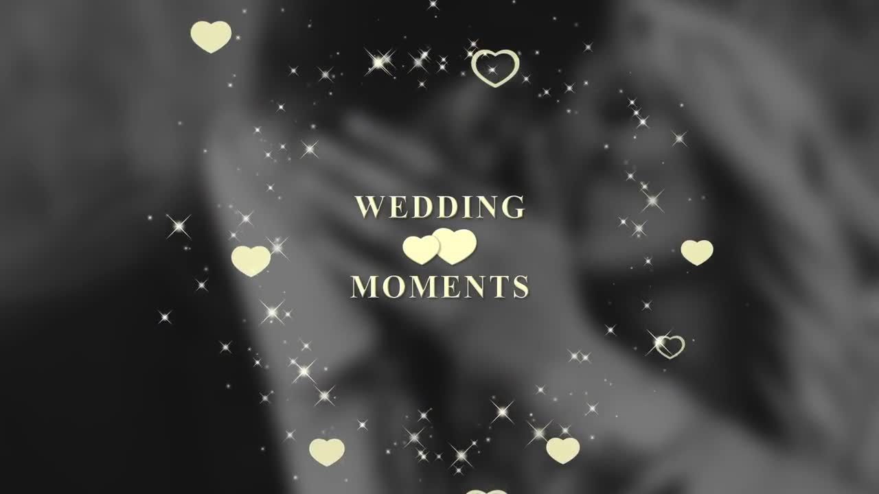 5个设计独特且动画优雅的婚礼素材库精选AE模板