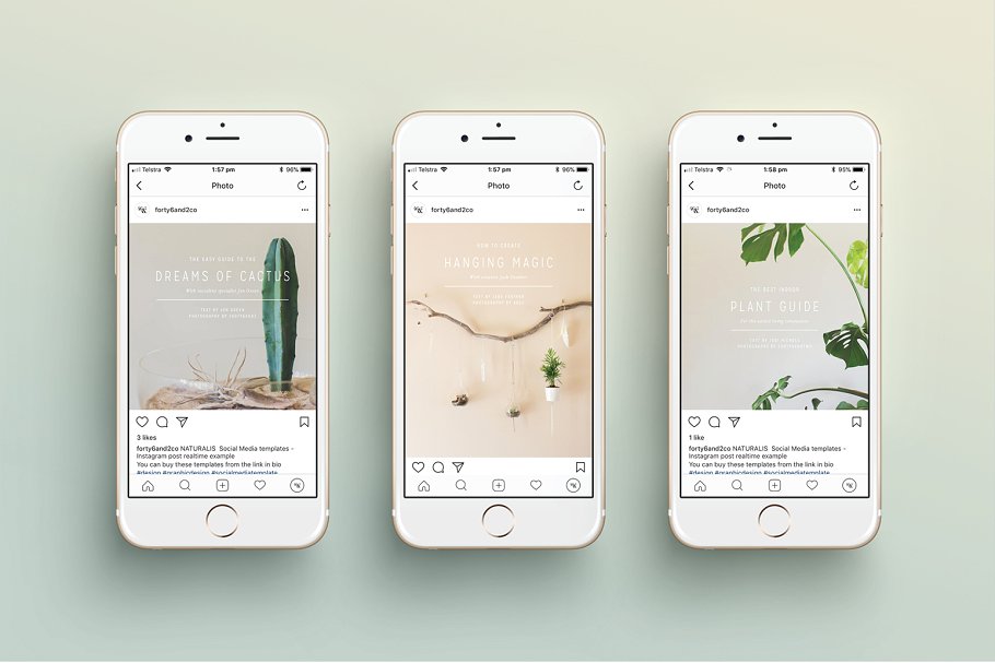 植物盆栽主题社交媒体贴图模板素材库精选[Instagram版本] NATURALIS Instagram Pack插图(4)