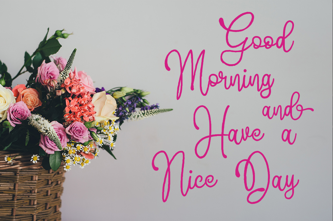 Fontbundles – Amellia插图2