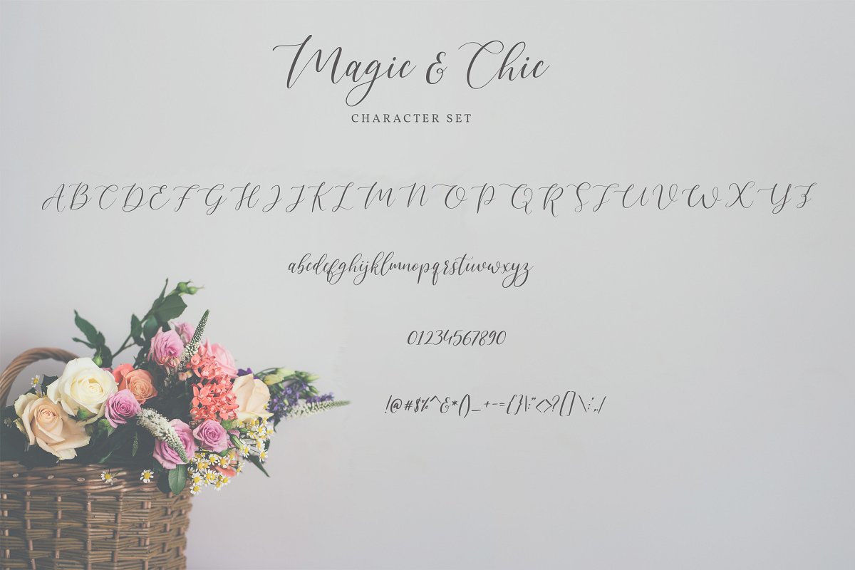 Magic & Chic Calligraphy Font插图4