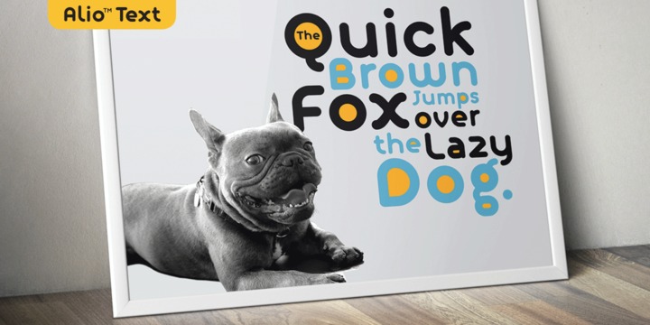 Alio Text Font Family插图4