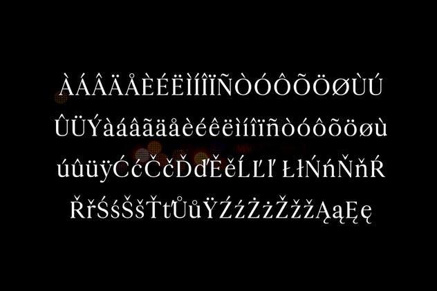 现代极简英文版式设计衬线字体 Maiah Serif Font Family Pack插图(2)