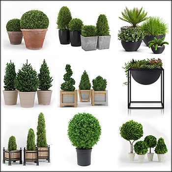 现在绿色盆栽盆景植物组合素材之家精选3D模型