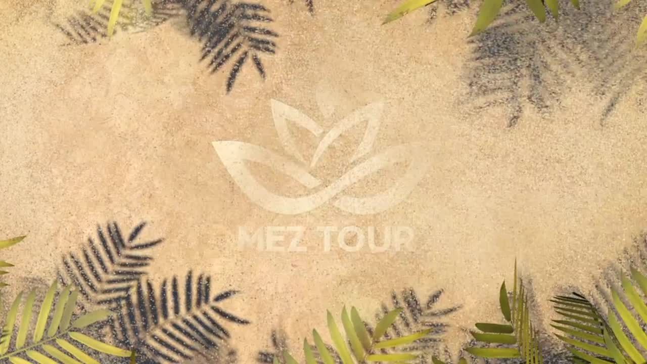 海滩夏季徽标素材库精选AE模板