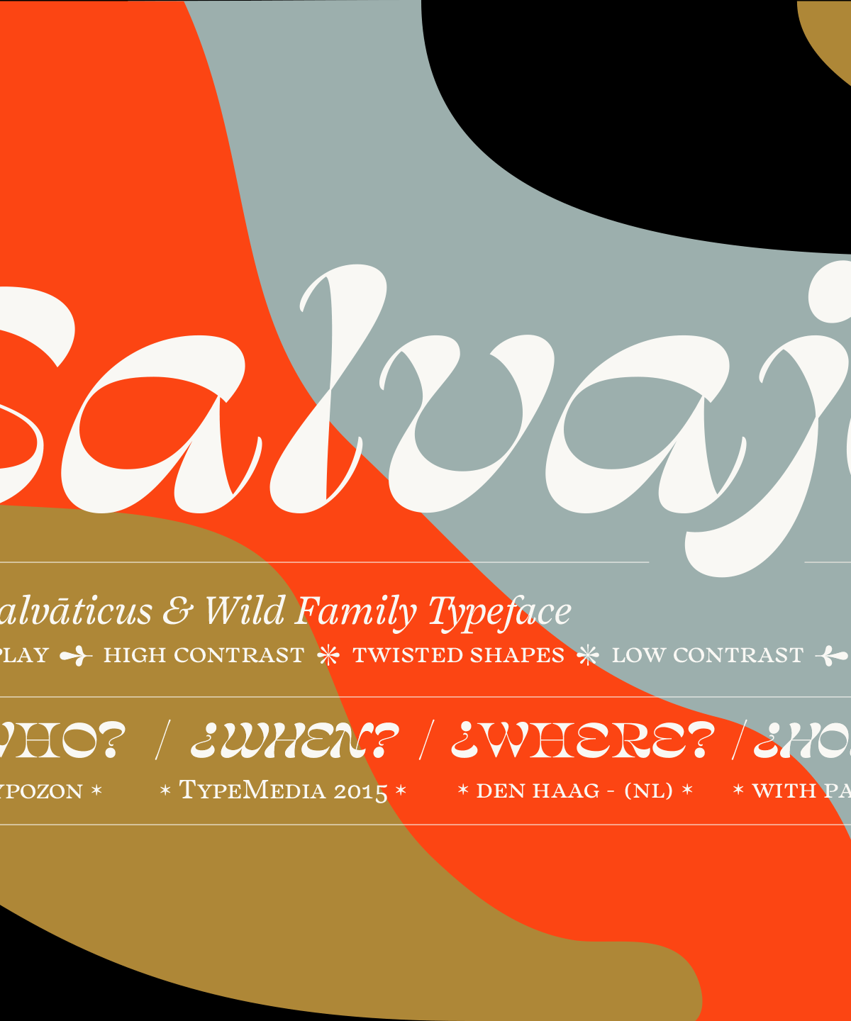 Salvaje Display Font Family素材之家精选英文字体