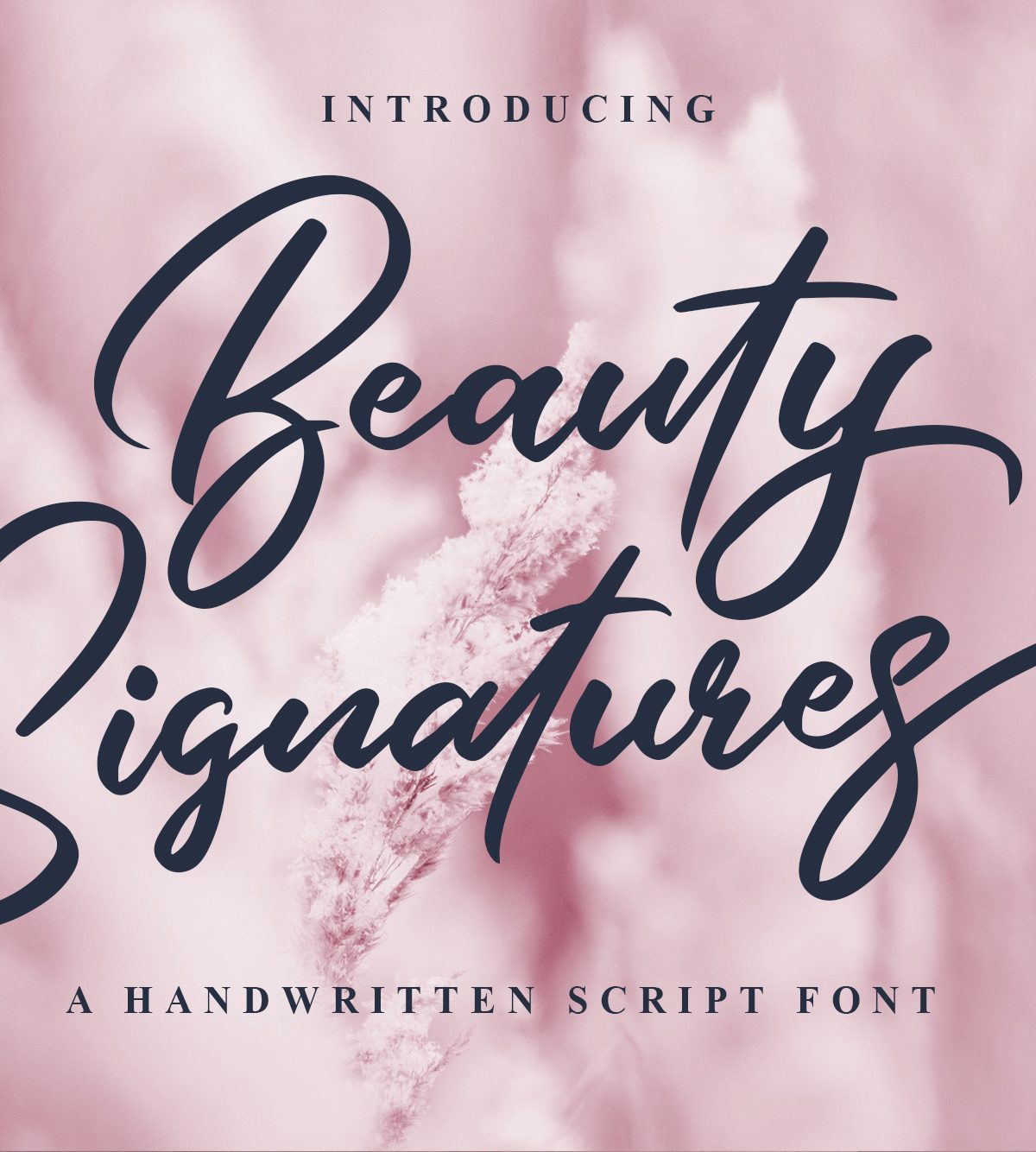 Beauty Signatures素材之家精选英文字体