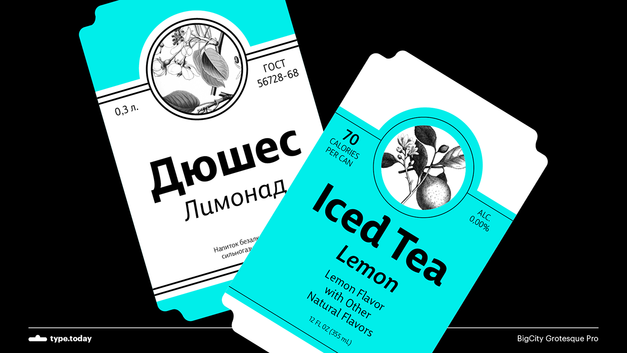 BigCity Grotesque Pro Font Family插图4