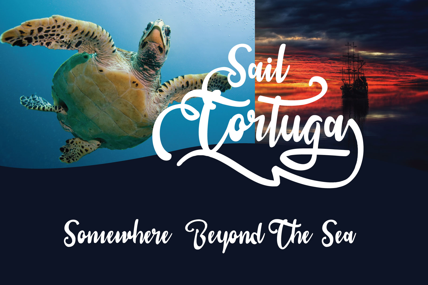 sail tortuga Font插图5