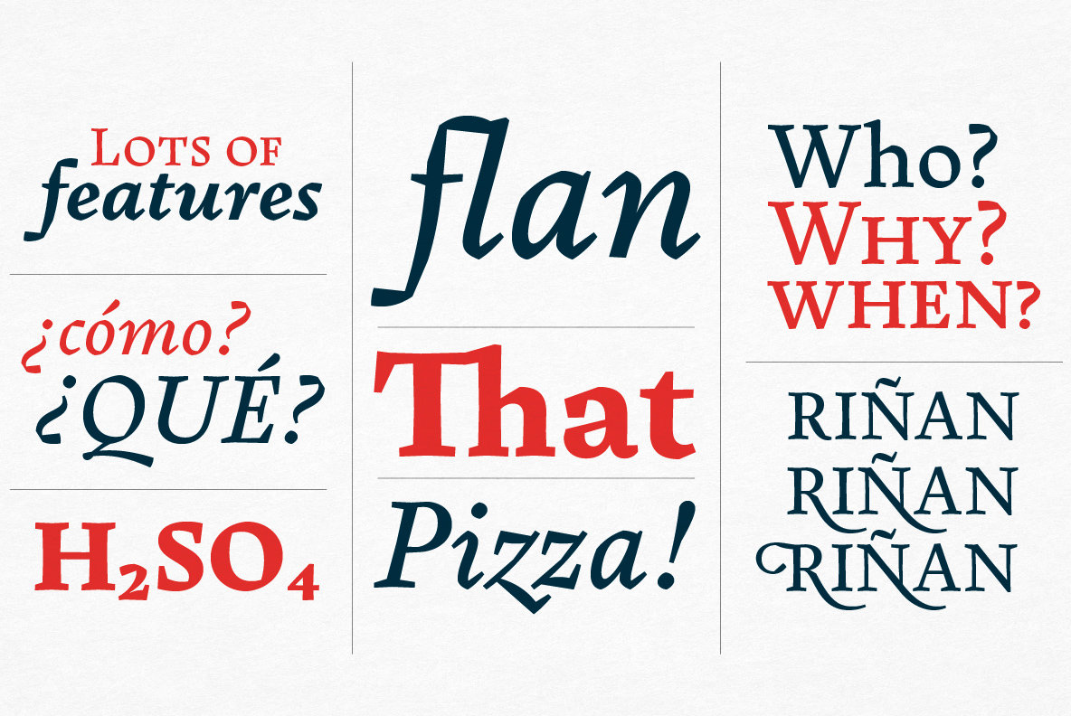 Pliego Font Family插图5