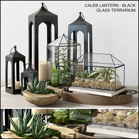 玻璃容器花瓶绿色植物盆栽装饰品素材之家精选3D模型