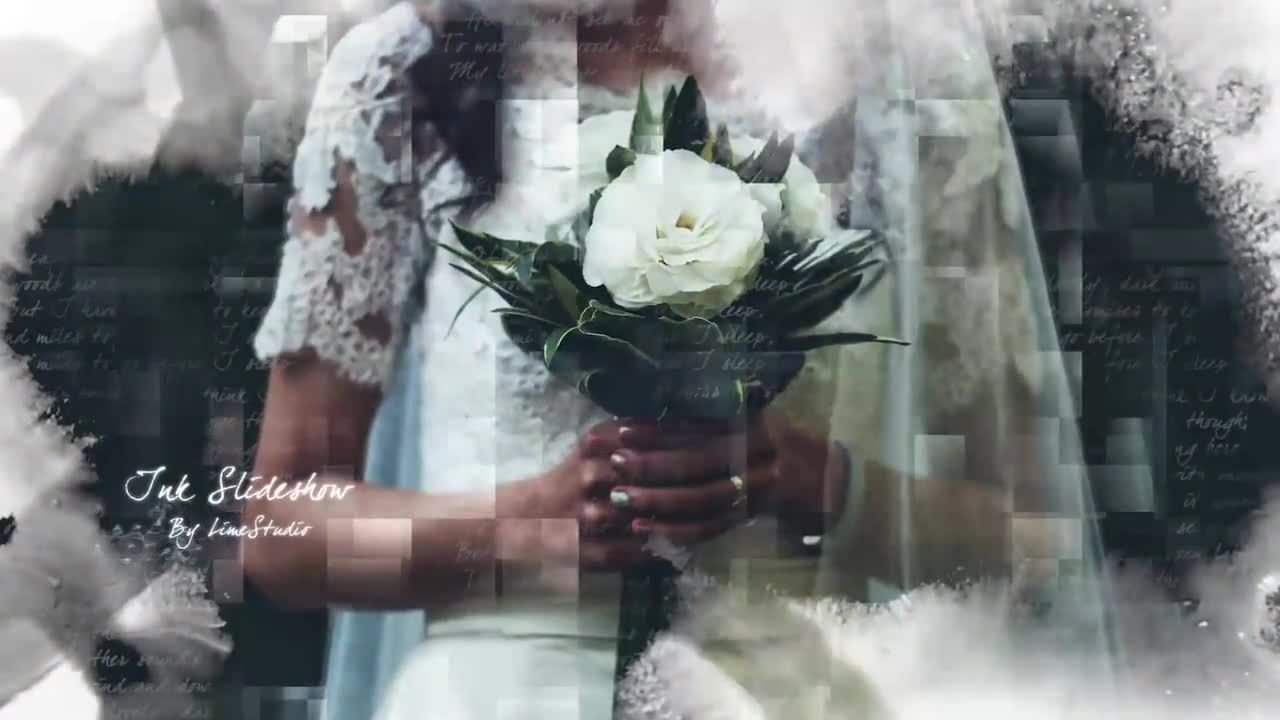 令人惊叹的华丽墨滴显示视觉效果Pr模板