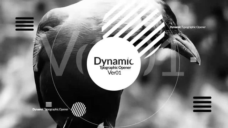 时尚动态排版素材库精选AE模板