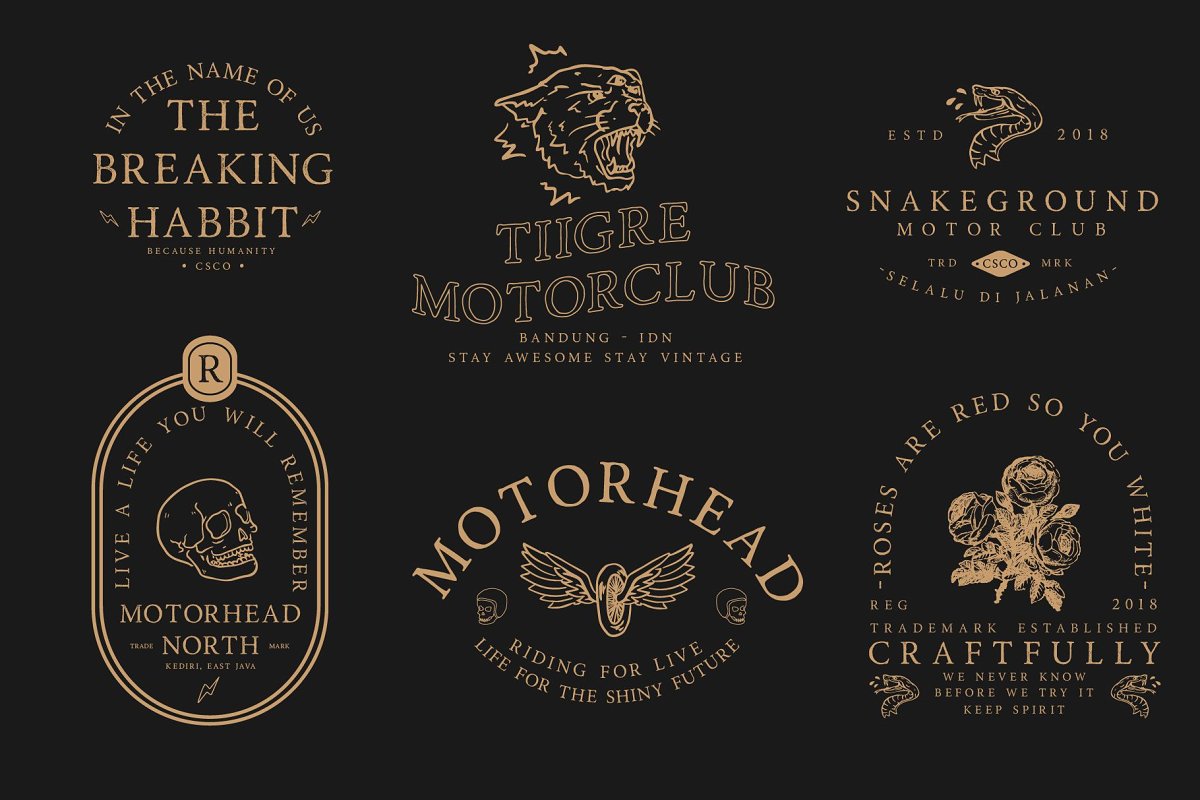 Road Race Extra Font Family插图1