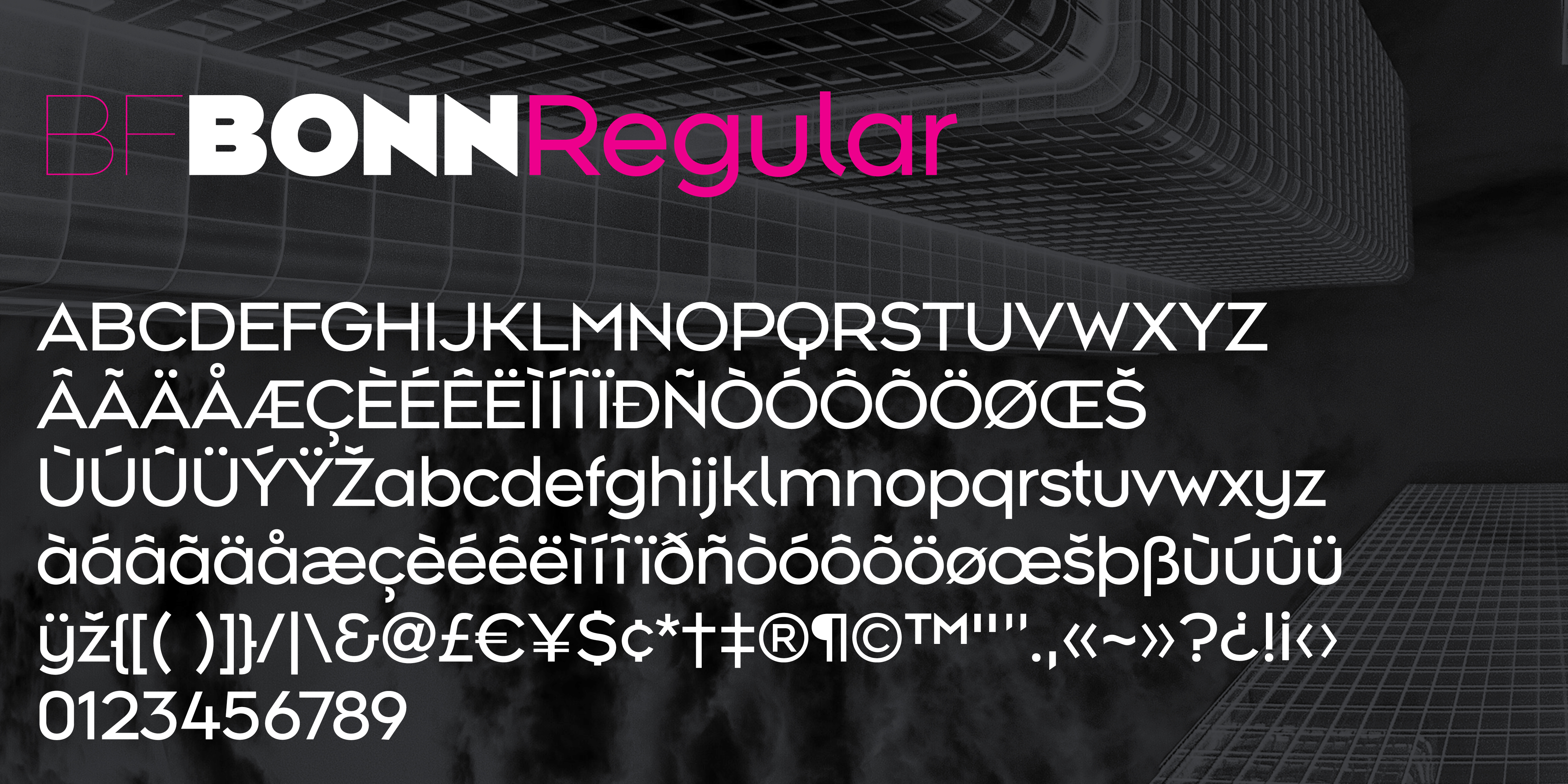 BF Bonn Font Family插图2