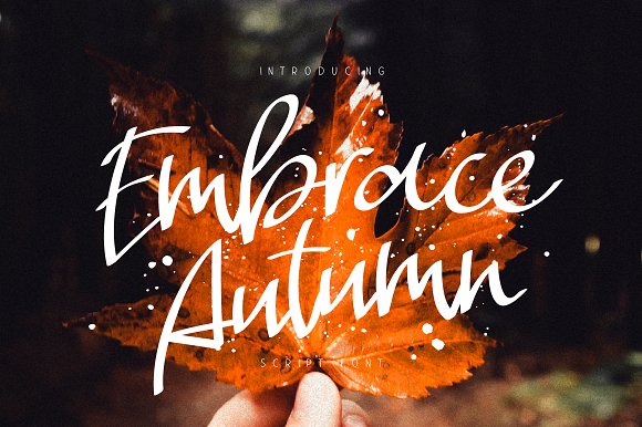 Embrace Autumn素材之家精选英文字体