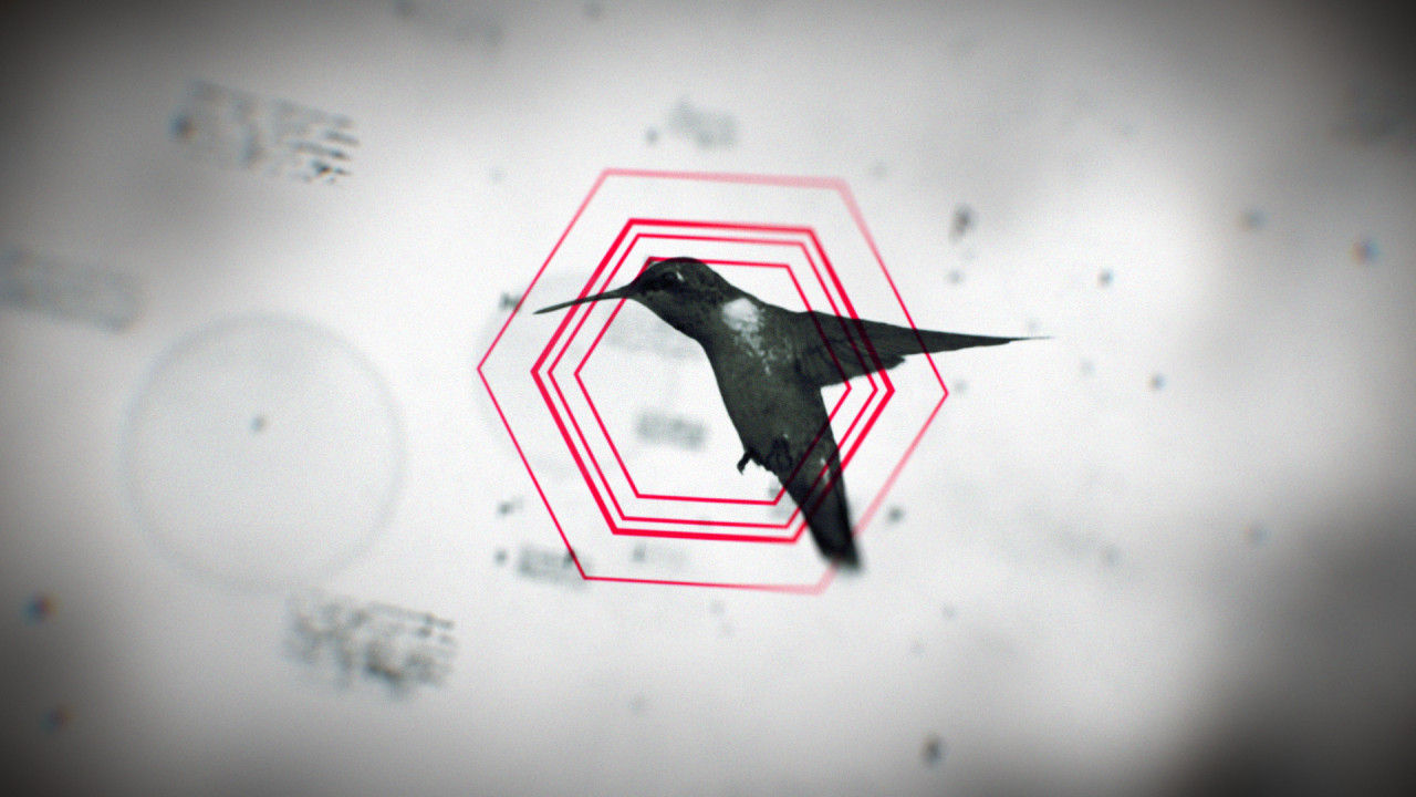 神秘水墨动态符文特效logo展示素材库精选AE模板