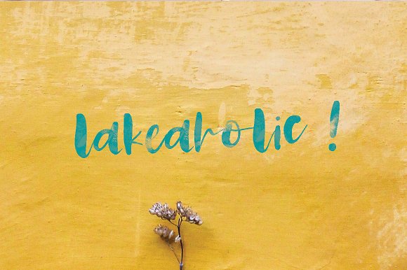 Twingle | Scrip + SVG Font插图5