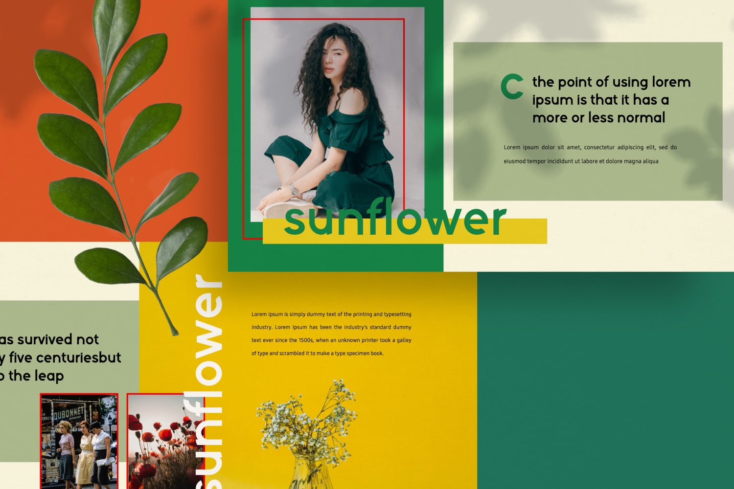 摄影工作室介绍PPT模板素材下载 Sunflowers – Powerpoint插图(7)