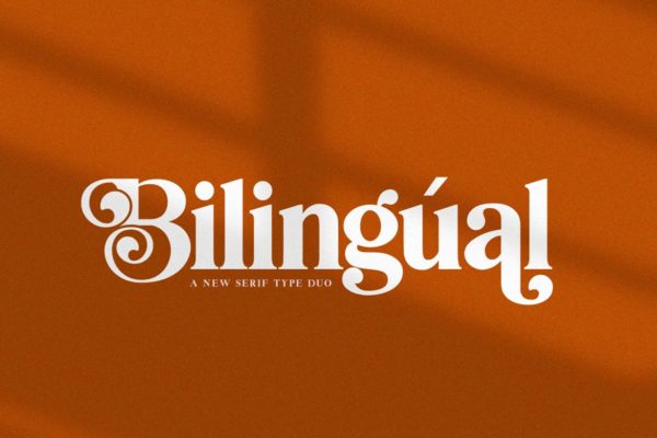 创意英文衬线字体素材库精选二重奏 Bilingual Serif Font Duo
