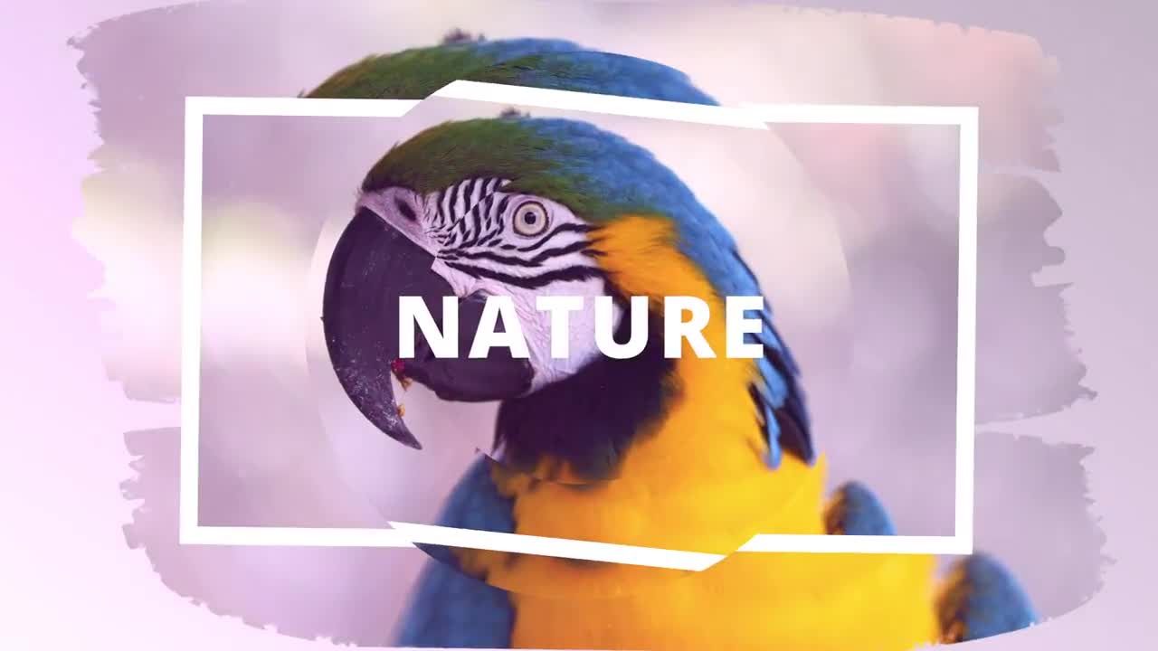 自然野生动物转场过渡素材库精选AE模板