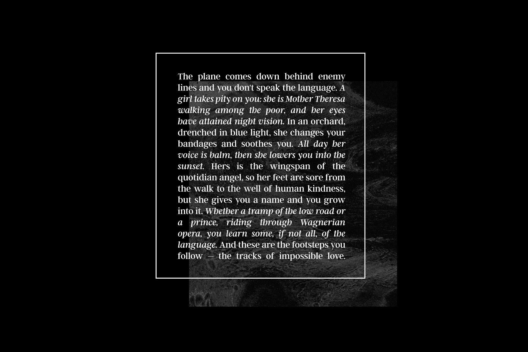 衬线字体 Argent CF: expressive serif font插图(14)