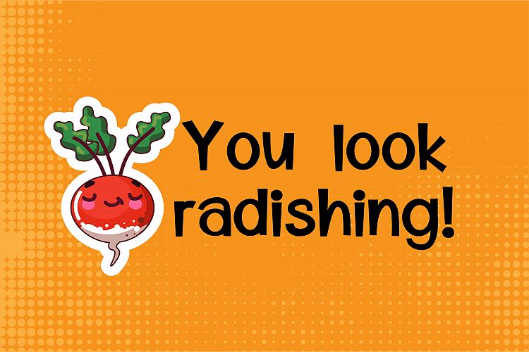 ZP Mosheemi Regular Font插图1