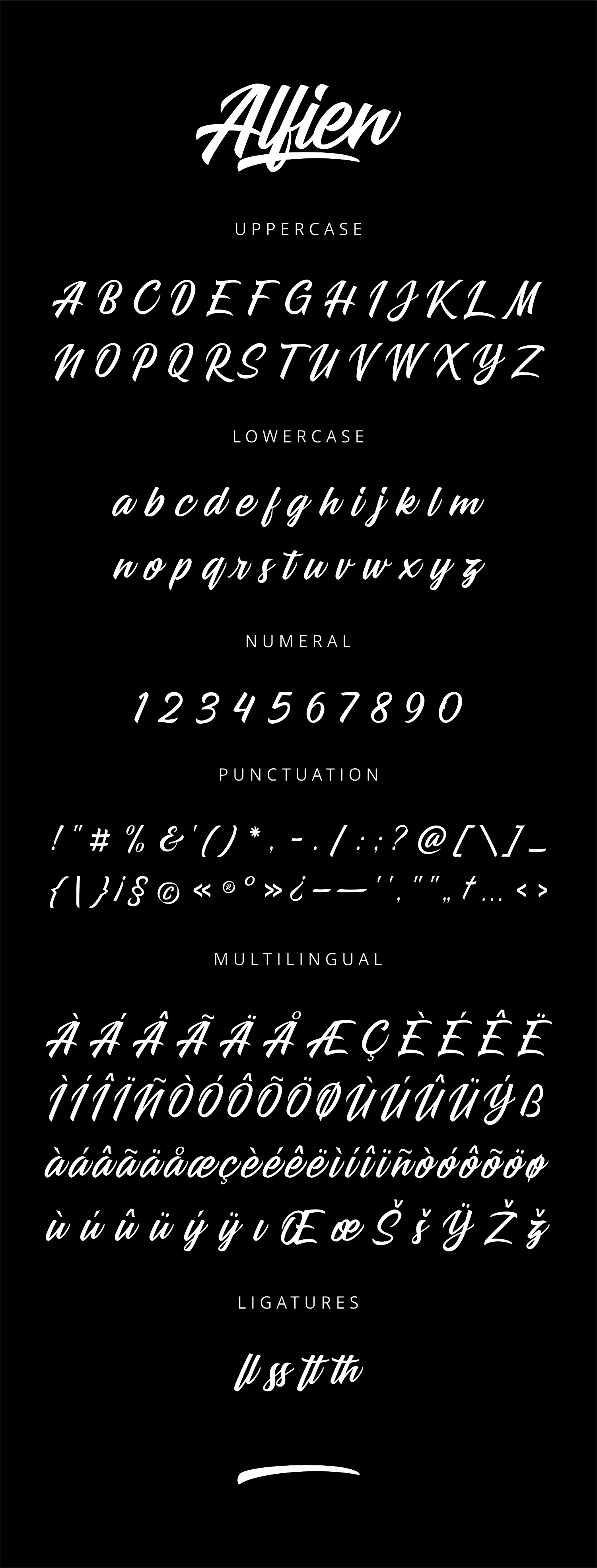 Fontbundles – Alfien插图4