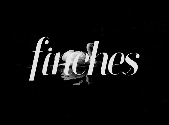 雅致设计风格英文衬线斜体字体 Finches Serif Italic Font
