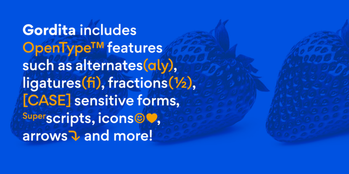 Gordita Font Family (Updated)插图