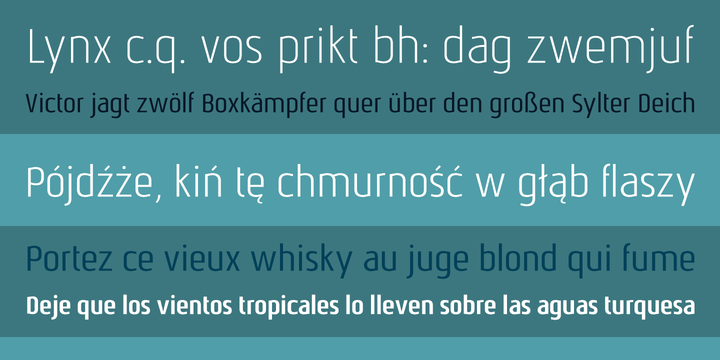 Nautikka Font Family插图5