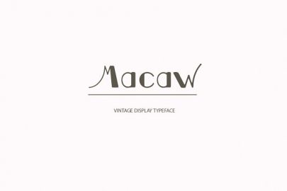 Macaw Font素材之家精选英文字体