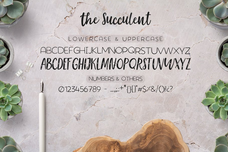 The succulent – font trio插图2