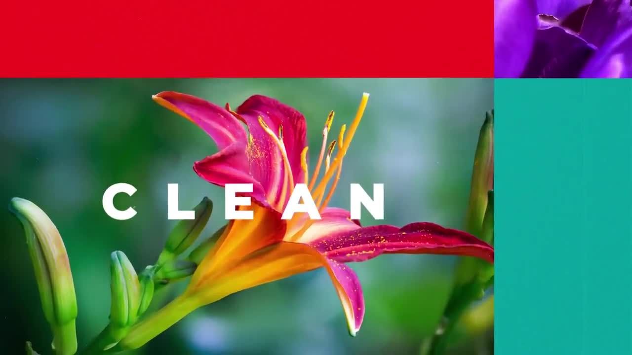 2个动态幻灯片介绍素材库精选AE模板