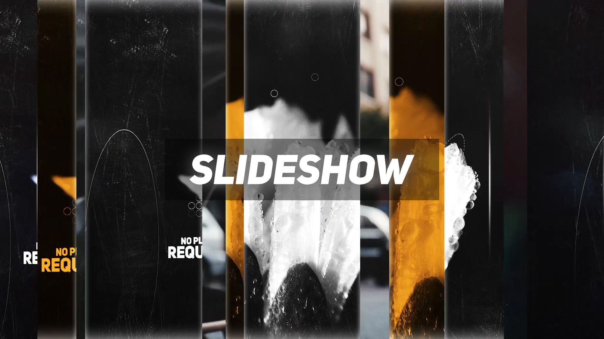 平滑的文本动画和风格化的过渡效果时尚幻灯片素材库精选pr模板