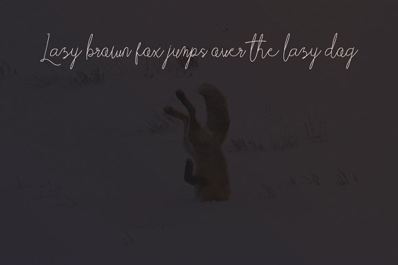 Elabama – Signature Font插图1