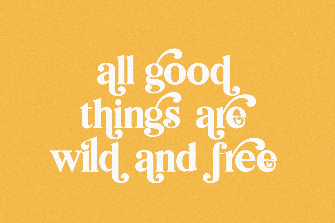 创意英文衬线字体素材库精选二重奏 Bilingual Serif Font Duo插图(7)