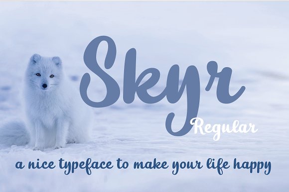 Skyr Basic插图