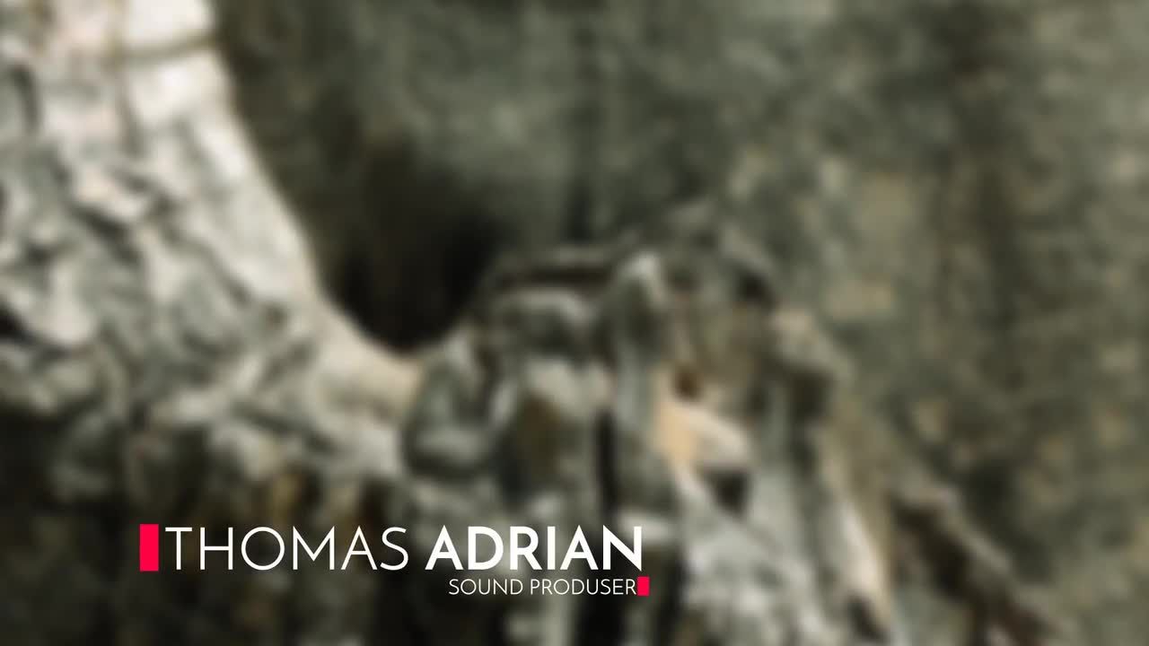 15组线条图形文字标题排版动画ae模板