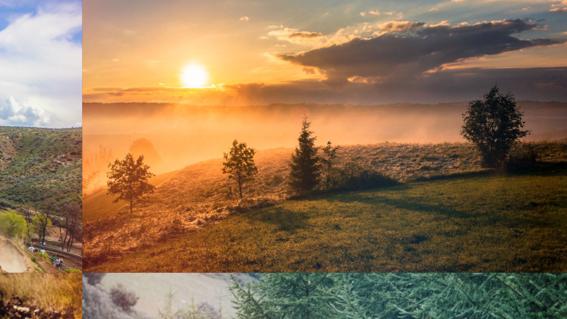 流畅的企业演示文本动画素材库精选AE模板