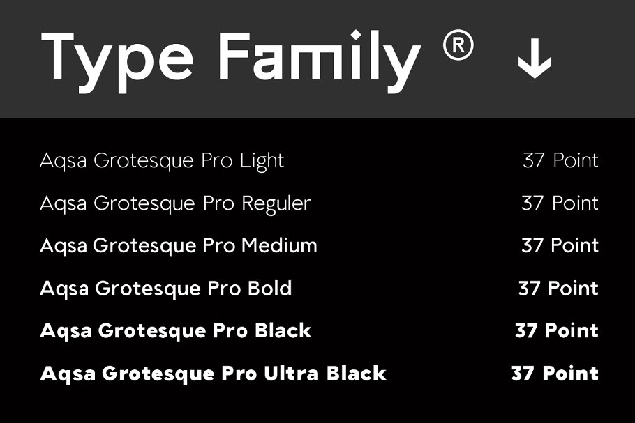 Aqsa Grotesque Pro Font插图2