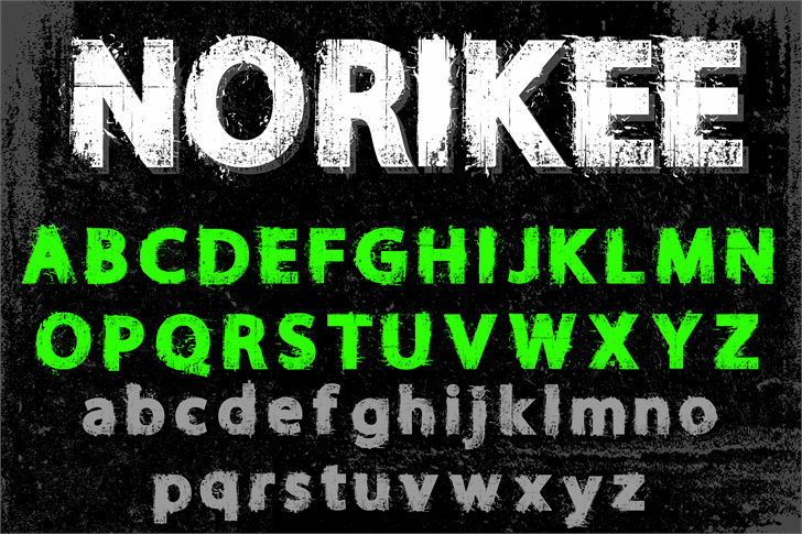NORIKEE DEMO font插图 NORIKEE DEMO font插图