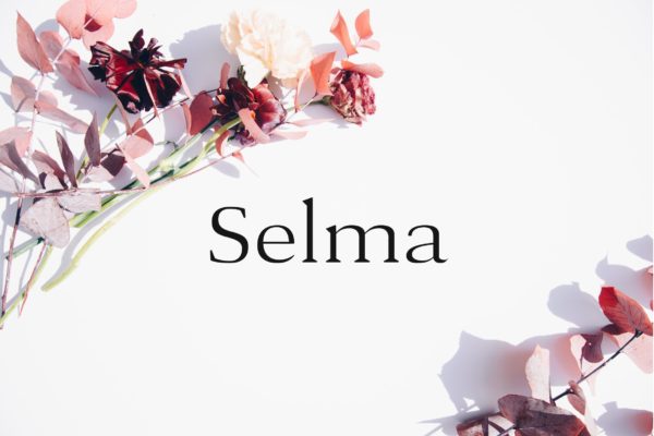 现代优雅英文衬线字体下载 Selma – A Classy Serif Typeface
