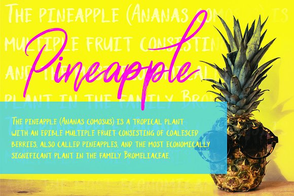 Shutten Reason – Duo Handwritting Font插图2