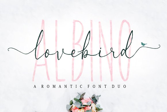 Albino Lovebird – Font Duo素材之家精选英文字体