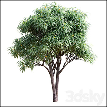 枸杞树素材之家精选3D模型
