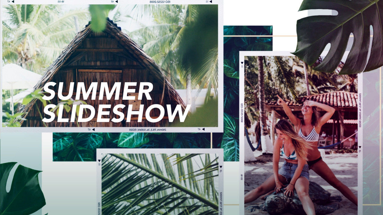 夏日氛围和植物元素幻灯片动画素材库推荐PR模板