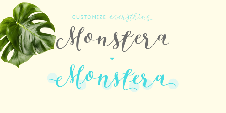 Resort Font Family插图6