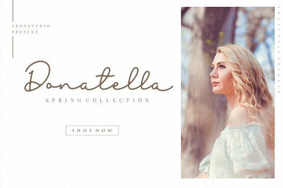 Blesson Signature Font插图3