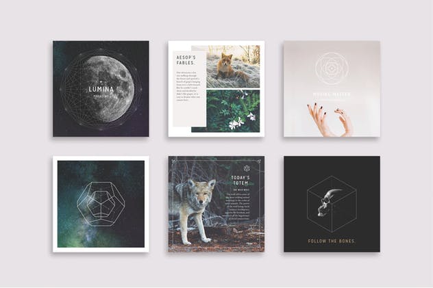 美丽多用途易用Pinterest模板素材库精选 LUMINA Pinterest Pack插图(6)